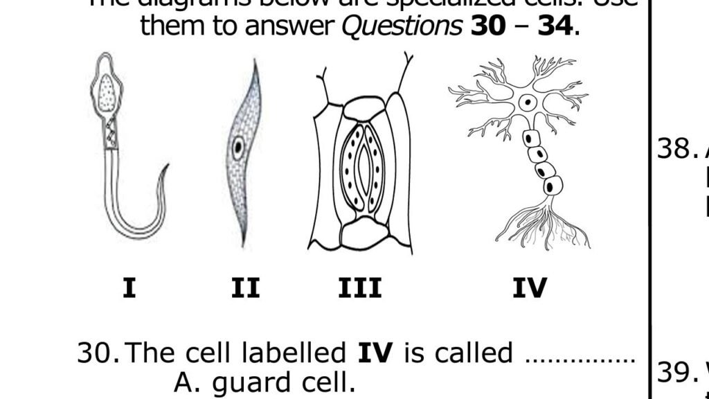 Guide to Pass BECE Science in 2026